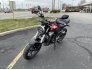 2019 Honda CB300R ABS for sale 201253386