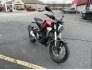 2019 Honda CB300R ABS for sale 201253386