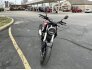 2019 Honda CB300R ABS for sale 201289409