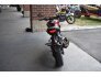 2019 Honda CB300R for sale 201327140