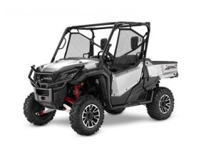 2019 Honda Pioneer 1000 Limited Edition for sale 201228235