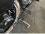 2019 Honda Shadow Phantom for sale 201213448