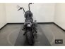 2019 Indian Chief Dark Horse for sale 201256862
