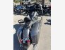 2019 Indian Chieftain for sale 201361690