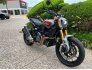 2019 Indian FTR 1200 S for sale 201273399