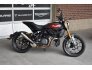 2019 Indian FTR 1200 S for sale 201298047