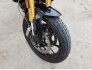 2019 Indian FTR 1200 S for sale 201380351