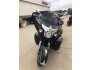 2019 Indian Roadmaster for sale 201233095