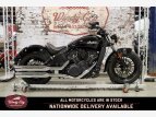 Thumbnail Photo 0 for 2019 Indian Scout Sixty
