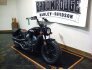 2019 Indian Scout Bobber for sale 201214988