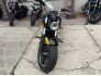 2019 Indian Scout ABS for sale 201243603