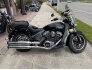 2019 Indian Scout for sale 201266277