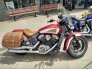 2019 Indian Scout Bobber ABS for sale 201267908
