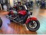 2019 Indian Scout for sale 201272396