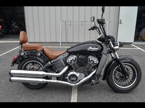 2019 Indian Scout