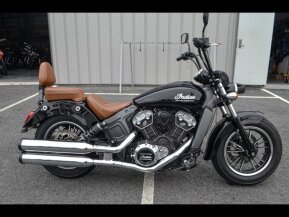 2019 Indian Scout for sale 201316564