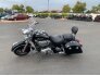 2019 Indian Springfield for sale 201216461