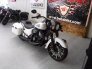 2019 Indian Springfield Dark Horse for sale 201250600