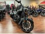 2019 Indian Springfield Dark Horse for sale 201383195