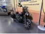 2019 Indian Springfield Dark Horse for sale 201398526