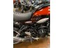 2019 Kawasaki Z900 for sale 201289708