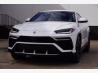 Thumbnail Photo 4 for 2019 Lamborghini Urus