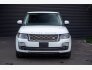 2019 Land Rover Range Rover for sale 101811669