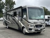 2019 Newmar Bay Star for sale 300503184