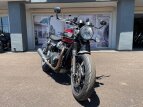 Thumbnail Photo 1 for 2019 Triumph Speed Twin