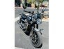 2019 Triumph Speed Twin for sale 201281129