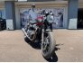 2019 Triumph Speed Twin for sale 201307719