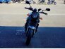 2019 Yamaha XSR900 for sale 201346691