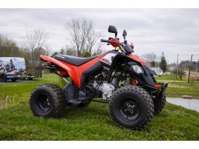 2020 Can-Am DS 250
