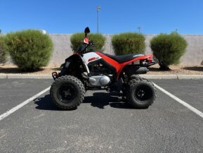 2020 Can-Am DS 250