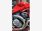 Thumbnail Photo 13 for 2020 Ducati Monster 1200