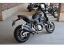 2020 Ducati Monster 821 for sale 201269615