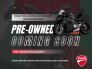 2020 Ducati Scrambler 1100 for sale 201312635