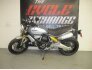 2020 Ducati Scrambler for sale 201317531