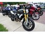 2020 Ducati Scrambler 1100 for sale 201321677