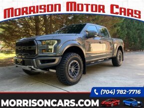 2020 Ford F150 4x4 Crew Cab Raptor for sale 101779828