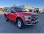 2020 Ford F150 for sale 101815387