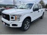 2020 Ford F150 for sale 101841251