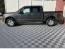 2020 Ford F150 for sale 101841408