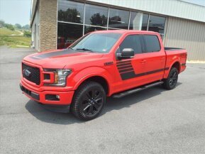 2020 Ford F150 for sale 101891467