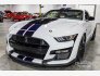 2020 Ford Mustang Shelby GT500 Coupe for sale 101786617