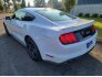 2020 Ford Mustang GT for sale 101793474