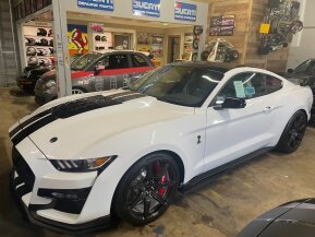 2020 Ford Mustang Shelby GT500 Coupe for sale 101817338