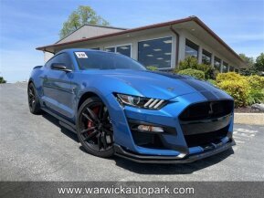 2020 Ford Mustang Shelby GT500 for sale 101920249