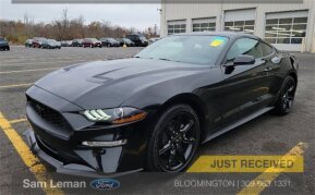 2020 Ford Mustang for sale 101969063