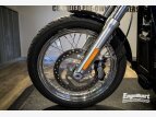 Thumbnail Photo 18 for 2020 Harley-Davidson Softail Standard